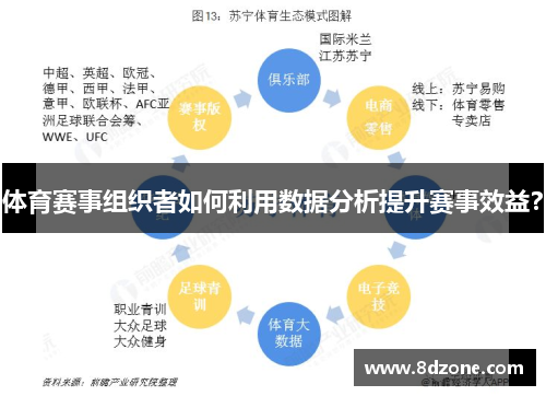 体育赛事组织者如何利用数据分析提升赛事效益？
